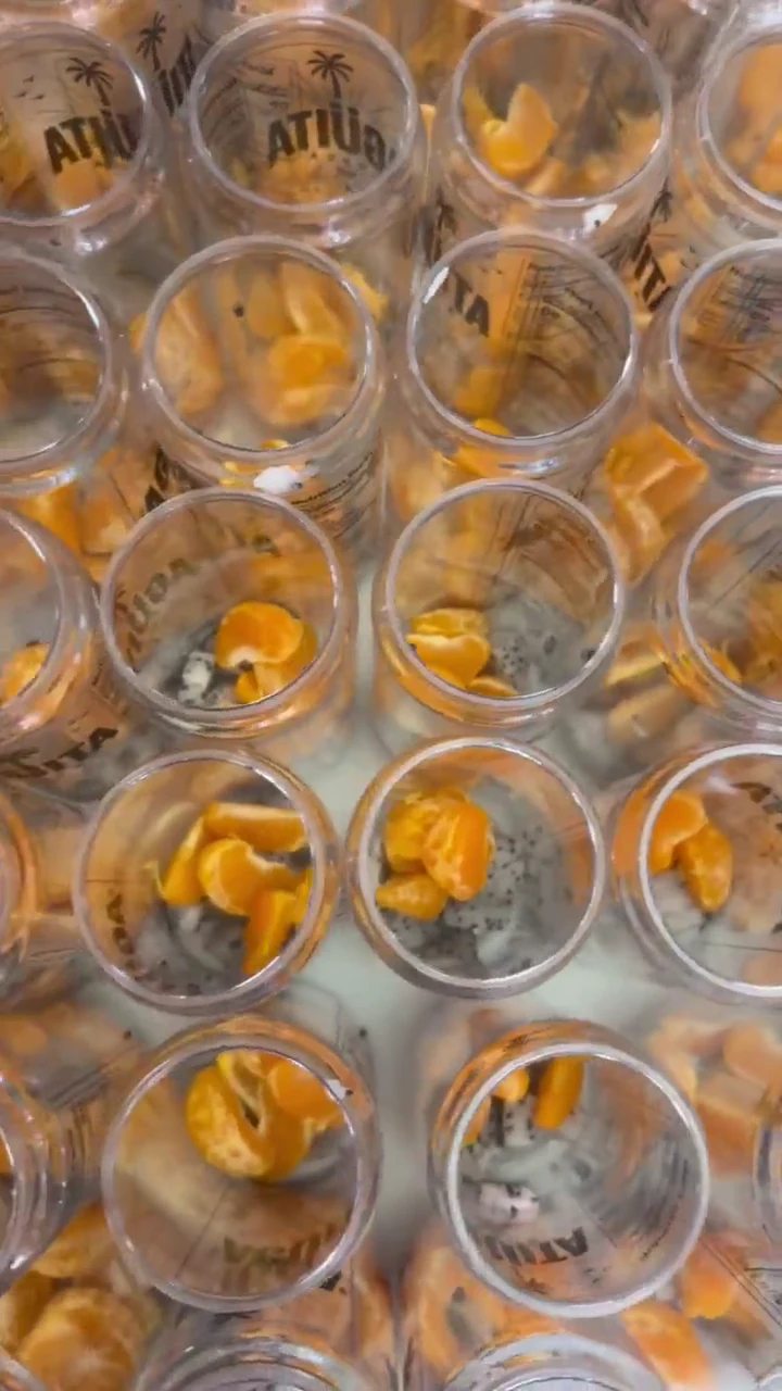 Fruit-filled Agüita FRSCA cans on the preparation table