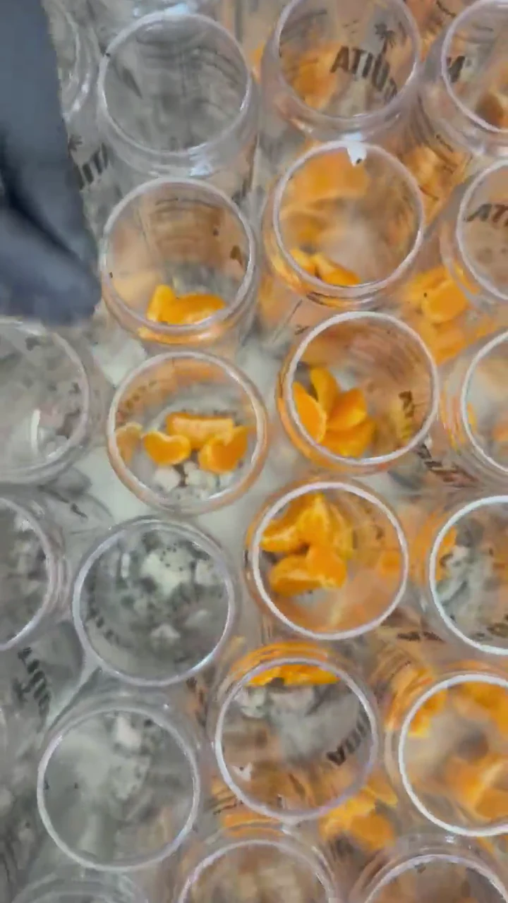 Fruit being prepared by hand for Agüita FRSCA