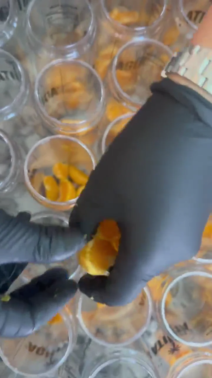A close-up of gloved hands adding fresh fruit