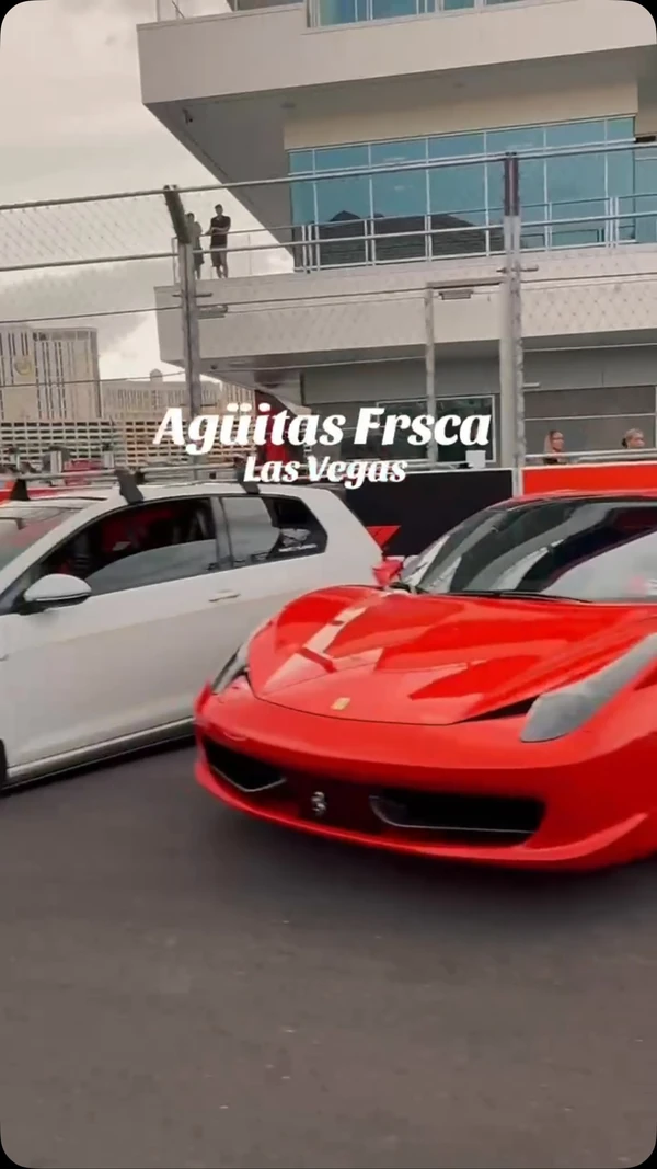 Agüita FRSCA out in Las Vegas beneath palm trees